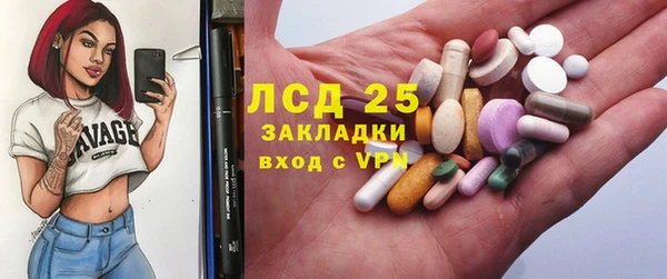 ECSTASY Алзамай