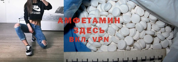 ECSTASY Алзамай