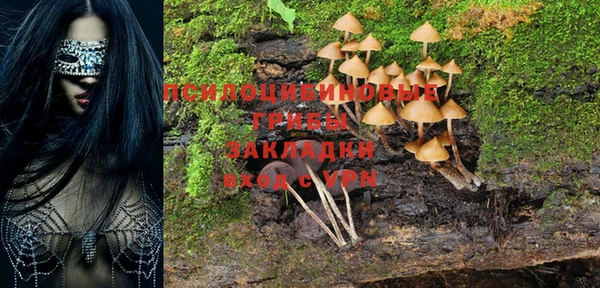 СК Алексеевка