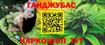 альфа пвп Заводоуковск