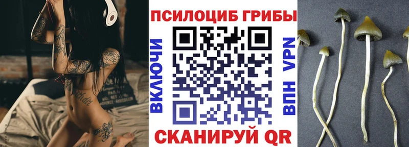 Галлюциногенные грибы Psilocybine cubensis  закладки  shop как зайти  Лабинск 